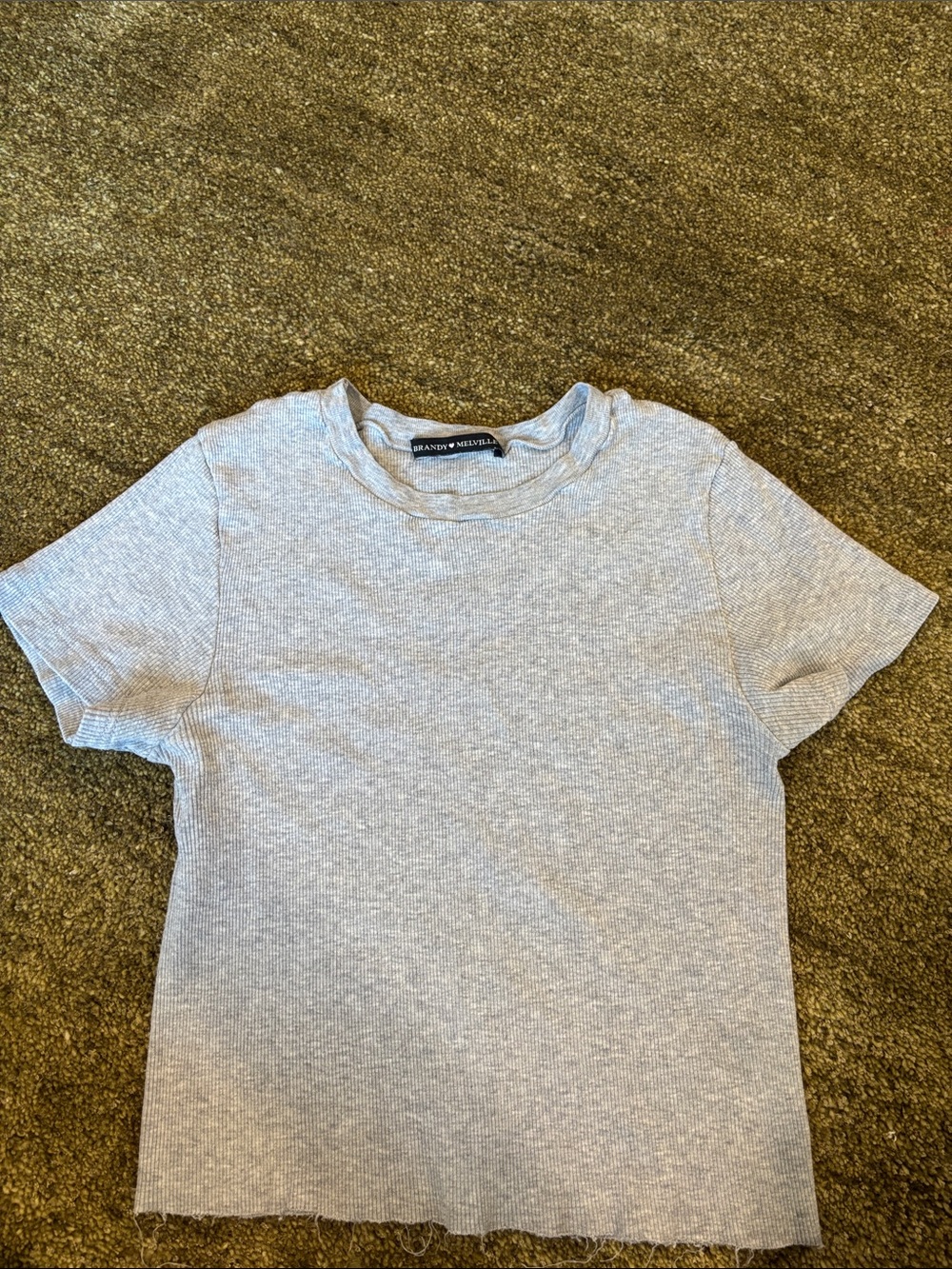 Brandy Melville Heather Gray Ribbed Short Sleeve Tee